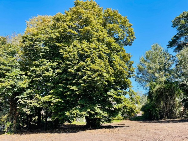 VENTA LOTE SIERRA DE LOS PADRES CERCA DE LA CAPILLA 